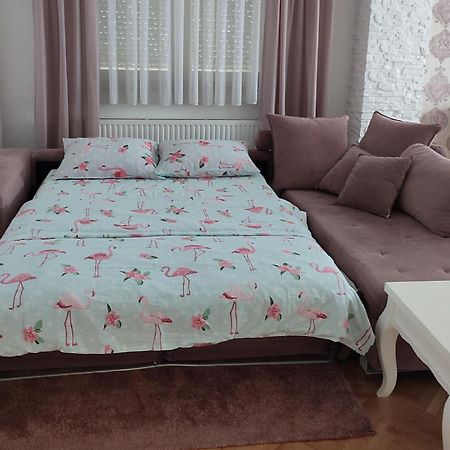 Apartman Jana ビイェリナ エクステリア 写真