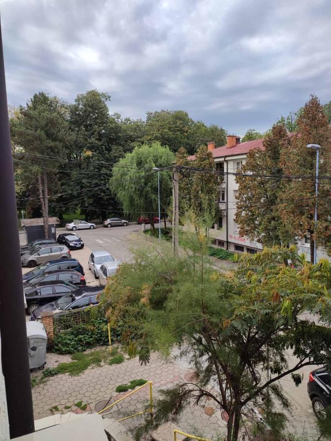 Apartman Jana ビイェリナ エクステリア 写真