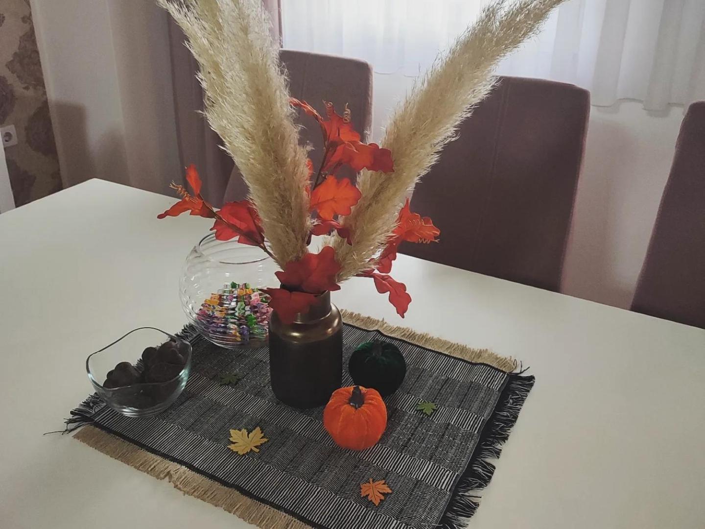 Apartman Jana ビイェリナ エクステリア 写真